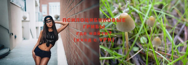 ГАЛЛЮЦИНОГЕННЫЕ ГРИБЫ Арсеньев