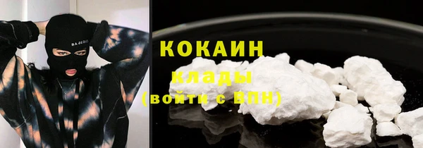 ГАЛЛЮЦИНОГЕННЫЕ ГРИБЫ Арсеньев