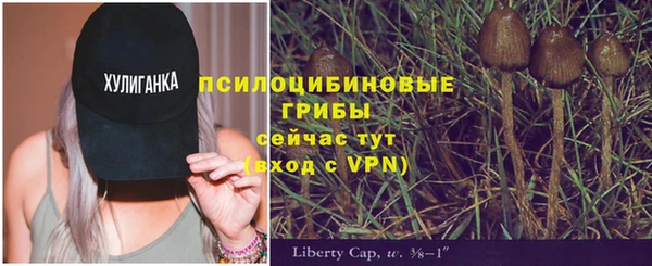ГАЛЛЮЦИНОГЕННЫЕ ГРИБЫ Арсеньев