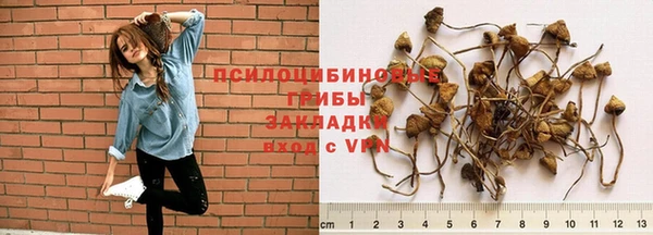 марки lsd Алексеевка
