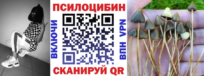 Псилоцибиновые грибы Psilocybe Тейково